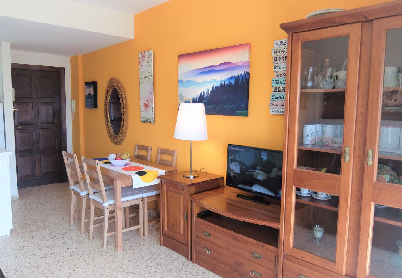 Apartamento en Gandia - INFANTE E8 - 9º    /    PLAYA DE GANDIA