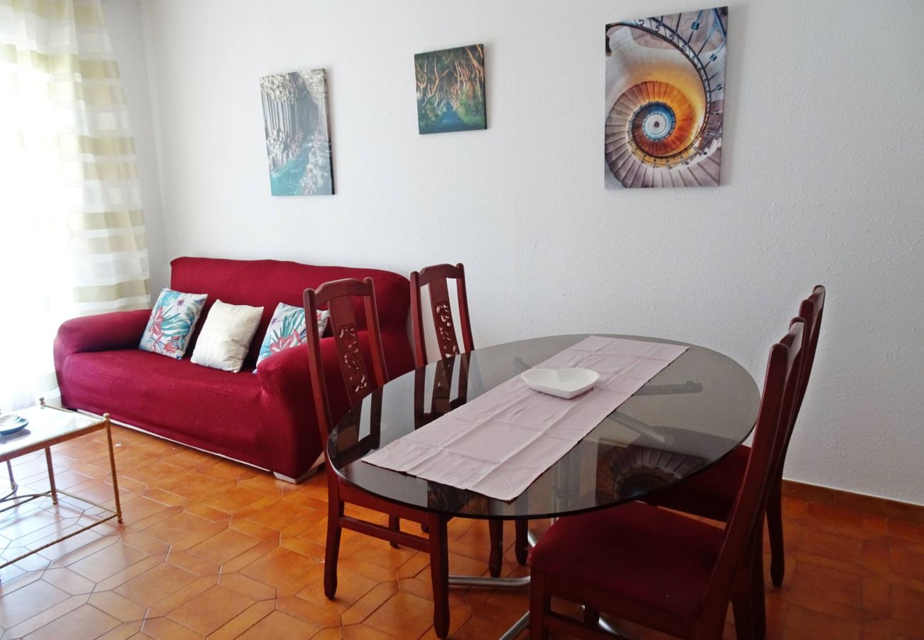 Apartamento en Gandia - INFANTE B - 3º   /   PLAYA DE GANDIA