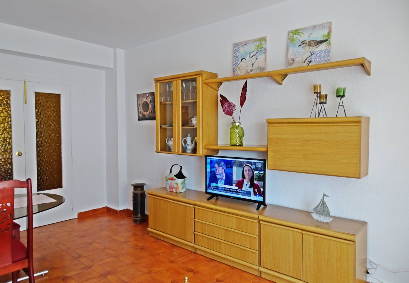 Apartamento en Gandia - INFANTE B - 3º   /   PLAYA DE GANDIA