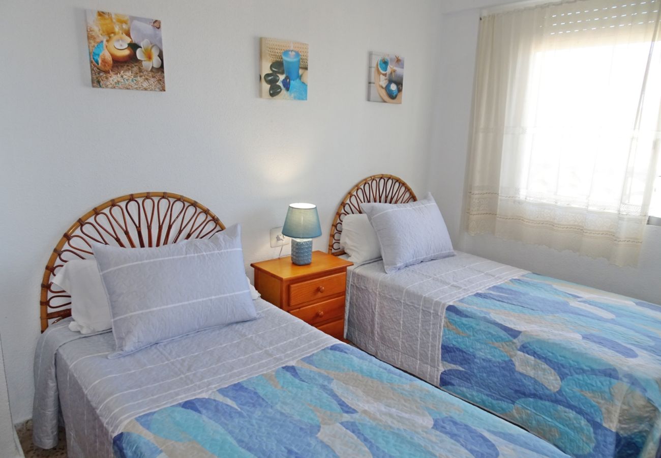 Apartamento en Gandia - INFANTE B - 13   /   PLAYA DE GANDIA