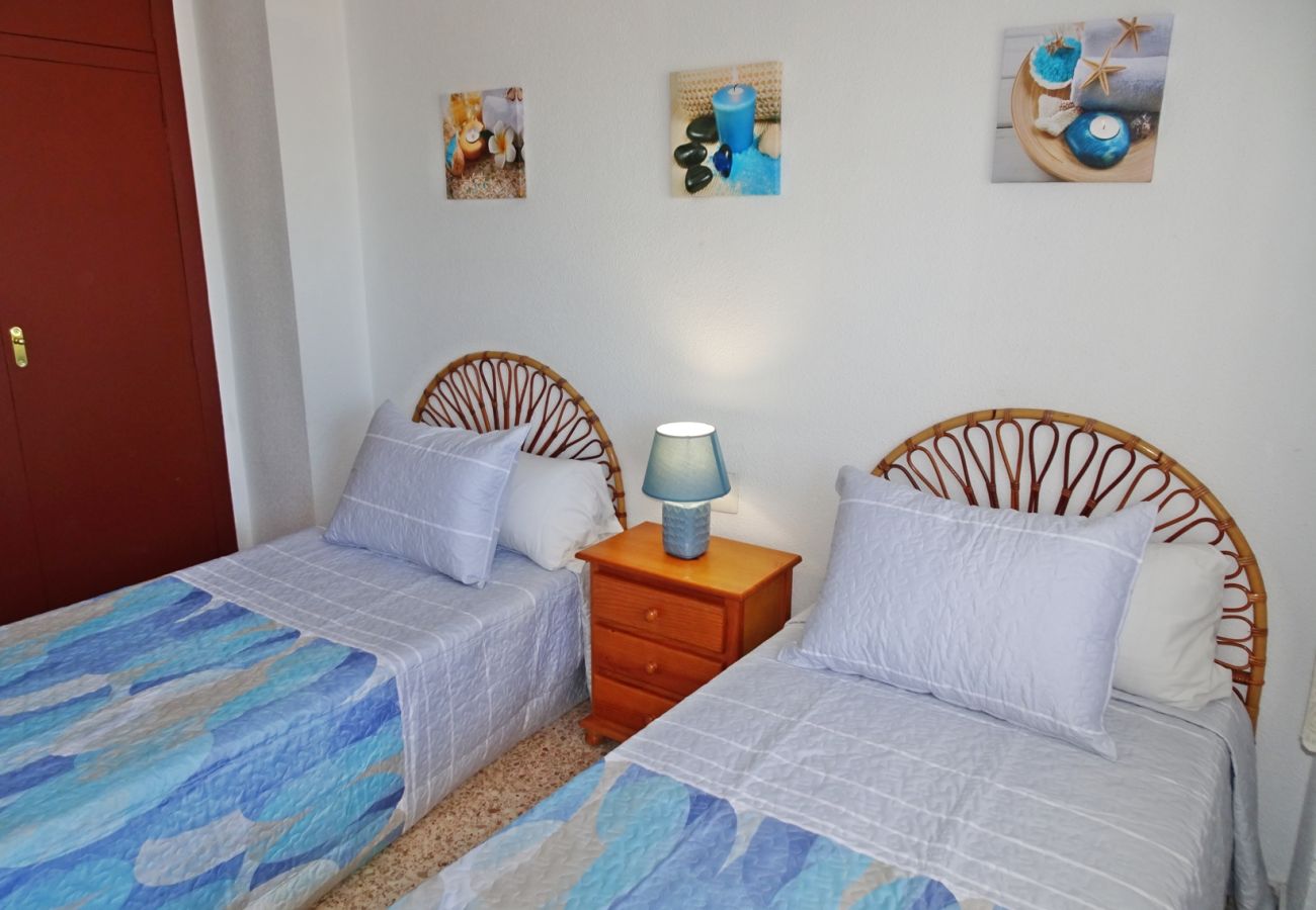 Apartamento en Gandia - INFANTE B - 13   /   PLAYA DE GANDIA