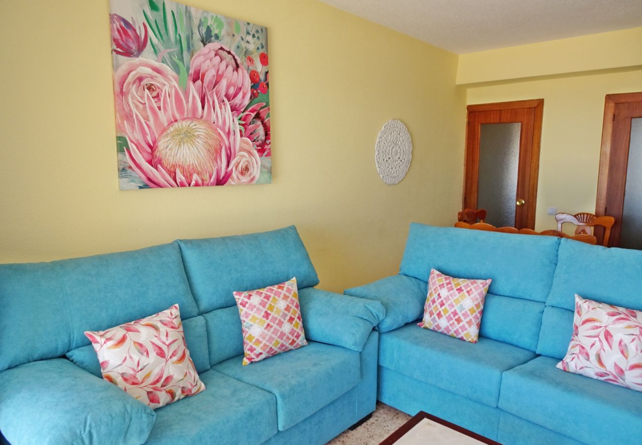 Apartamento en Gandia - INFANTE B - 13   /   PLAYA DE GANDIA