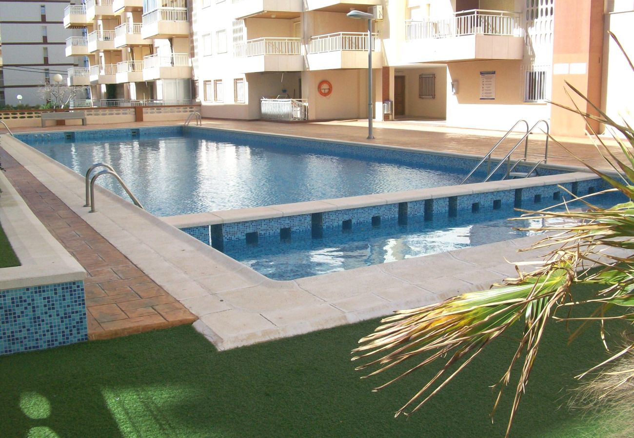 Agroturismo en Gandia - TORRES DEL MAR 3ª - 3º - 7  / PLAYA DE GANDIA