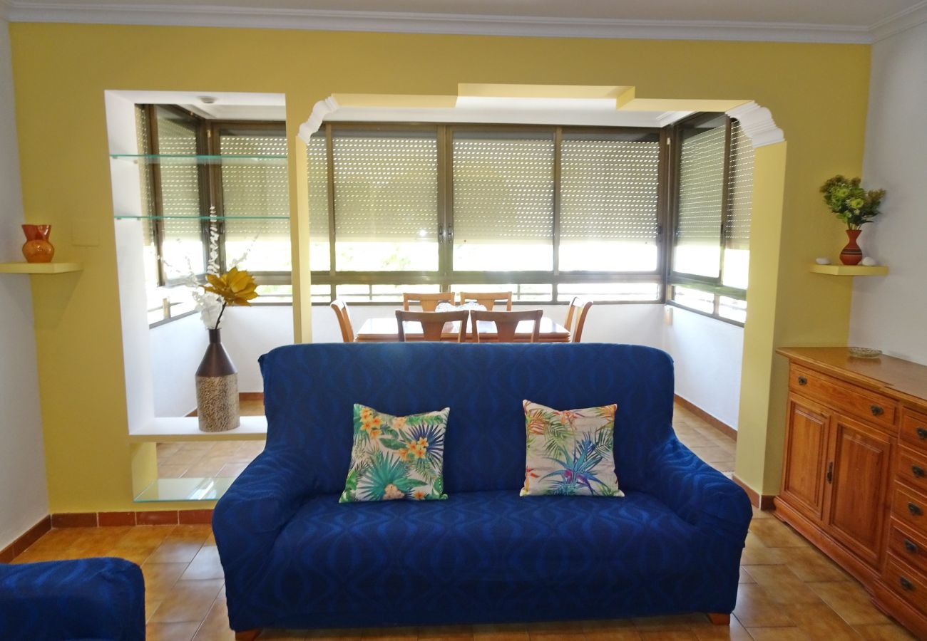 Apartamento en Gandia - LAS OLAS 3º - 9ª   /   PLAYA DE GANDIA