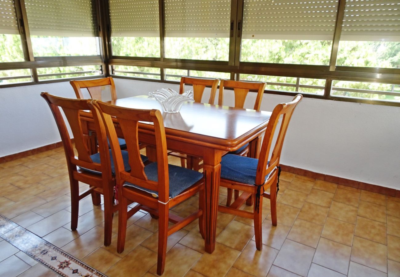Apartamento en Gandia - LAS OLAS 3º - 9ª   /   PLAYA DE GANDIA