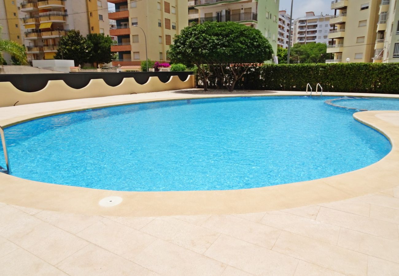 Apartamento en Gandia - LAS OLAS 3º - 9ª   /   PLAYA DE GANDIA