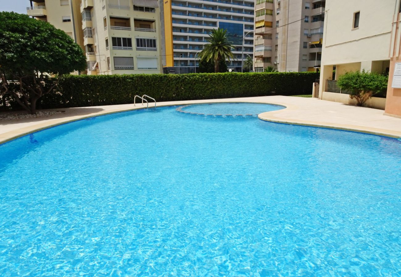 Apartamento en Gandia - LAS OLAS 3º - 9ª   /   PLAYA DE GANDIA