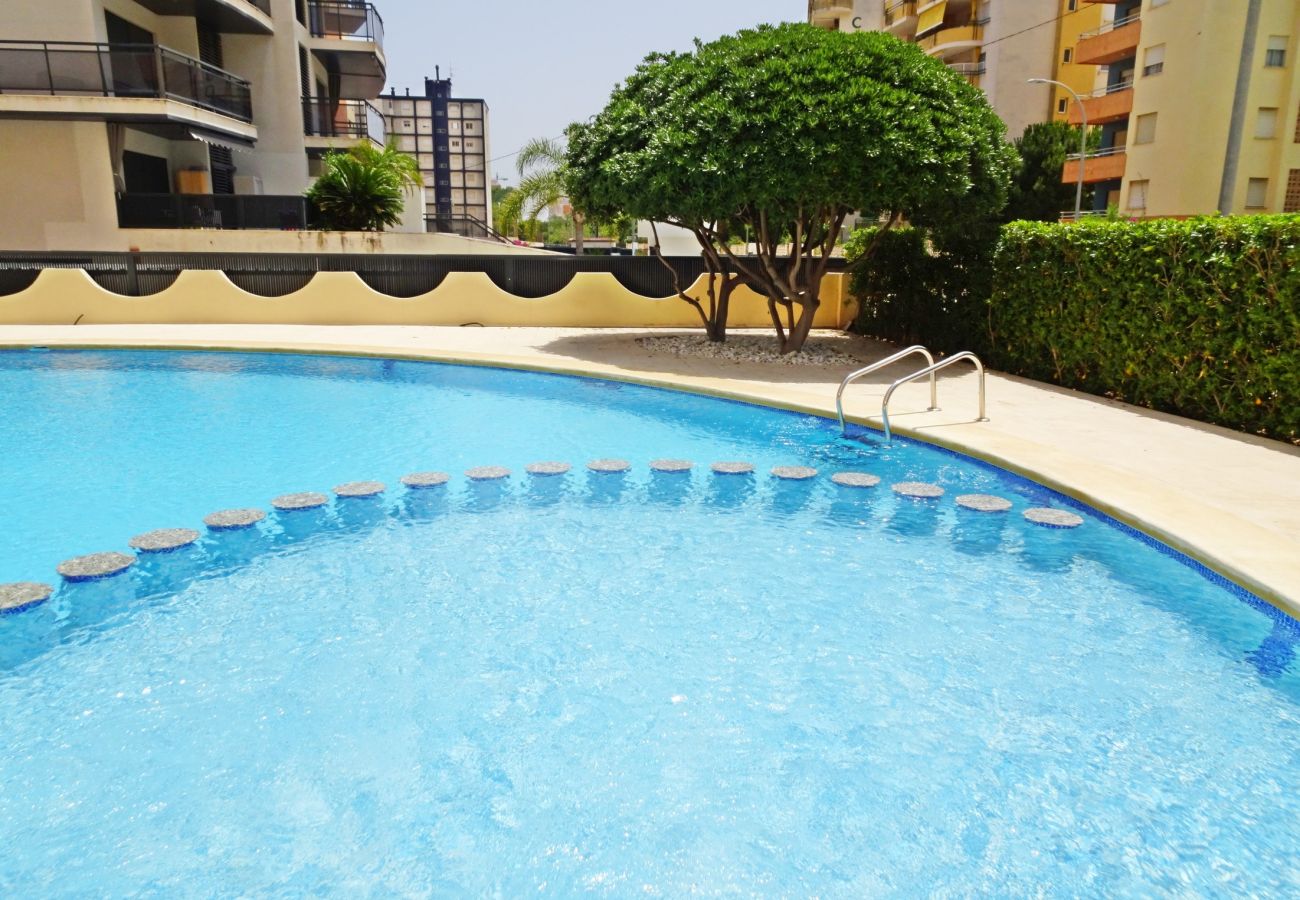 Apartamento en Gandia - LAS OLAS 3º - 9ª   /   PLAYA DE GANDIA