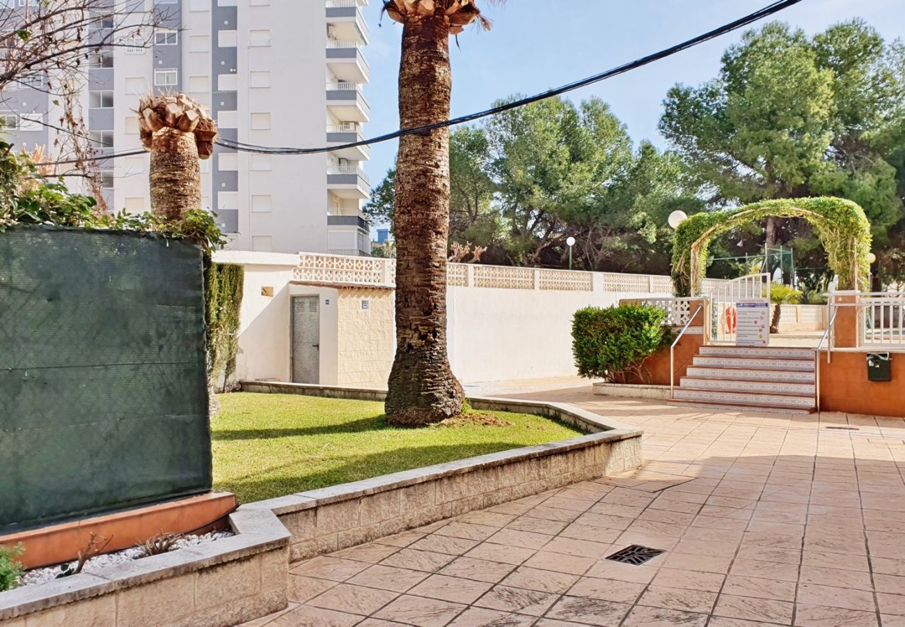 Apartamento en Miramar Playa - EUROPA I - B - 9º - Dcha   /   PLAYA DE MIRAMAR