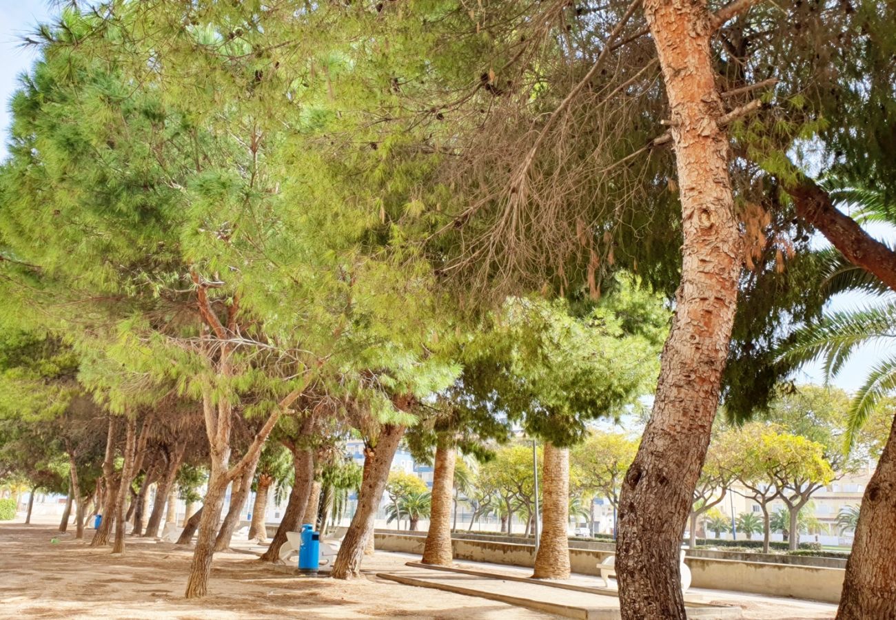 Apartamento en Miramar Playa - EUROPA I - B - 9º - Dcha   /   PLAYA DE MIRAMAR