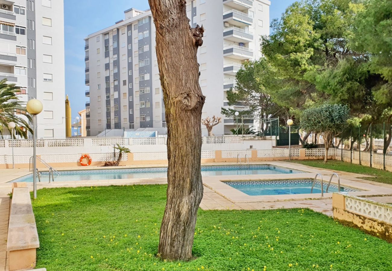 Apartamento en Miramar Playa - EUROPA I - B - 9º - Izq   /   PLAYA DE MIRAMAR