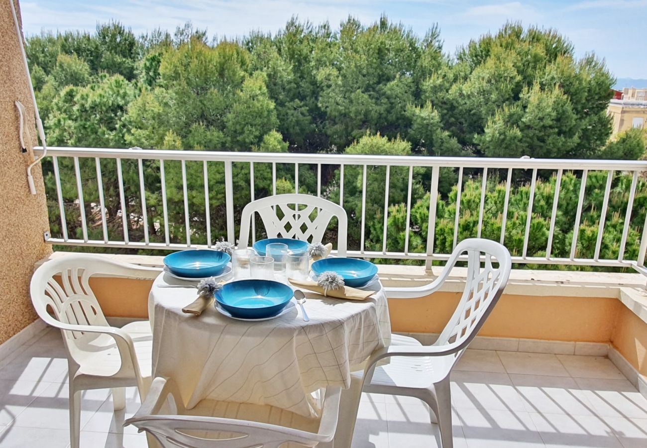 Apartamento en Miramar Playa - EUROPA I - C - 4º - Dcha.   /   PLAYA DE MIRAMAR