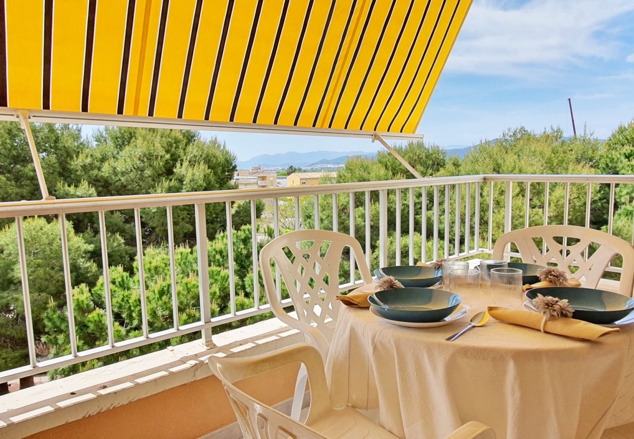 Apartamento en Miramar Playa - EUROPA I - C - 4º - Dcha.   /   PLAYA DE MIRAMAR