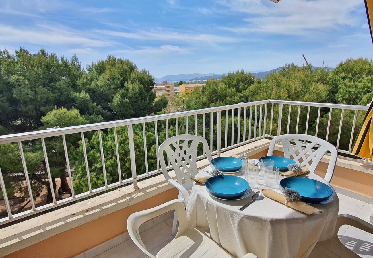 Apartamento en Miramar Playa - EUROPA I - C - 4º - Dcha.   /   PLAYA DE MIRAMAR