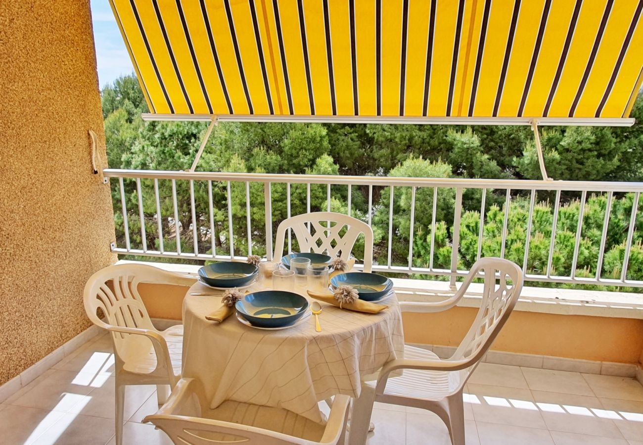 Apartamento en Miramar Playa - EUROPA I - C - 4º - Dcha.   /   PLAYA DE MIRAMAR