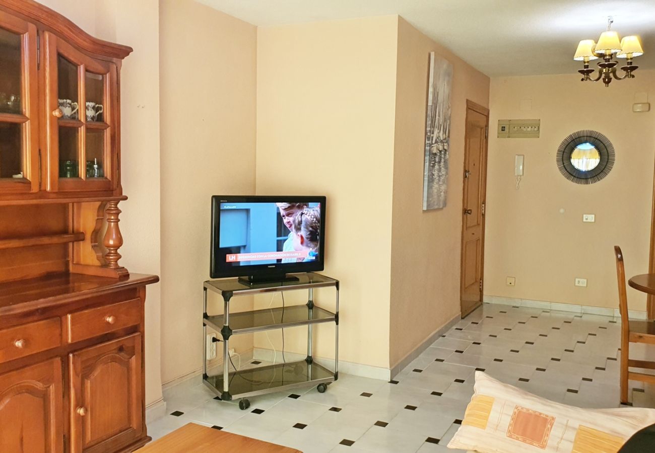 Apartamento en Miramar Playa - EUROPA I - C - 8º - Izq   /   PLAYA DE MIRAMAR