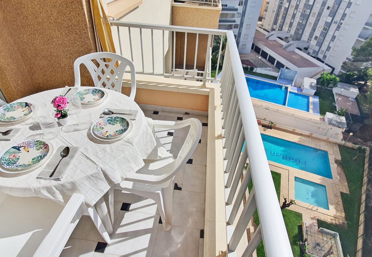 Apartamento en Miramar Playa - EUROPA I - C - 8º - Izq   /   PLAYA DE MIRAMAR