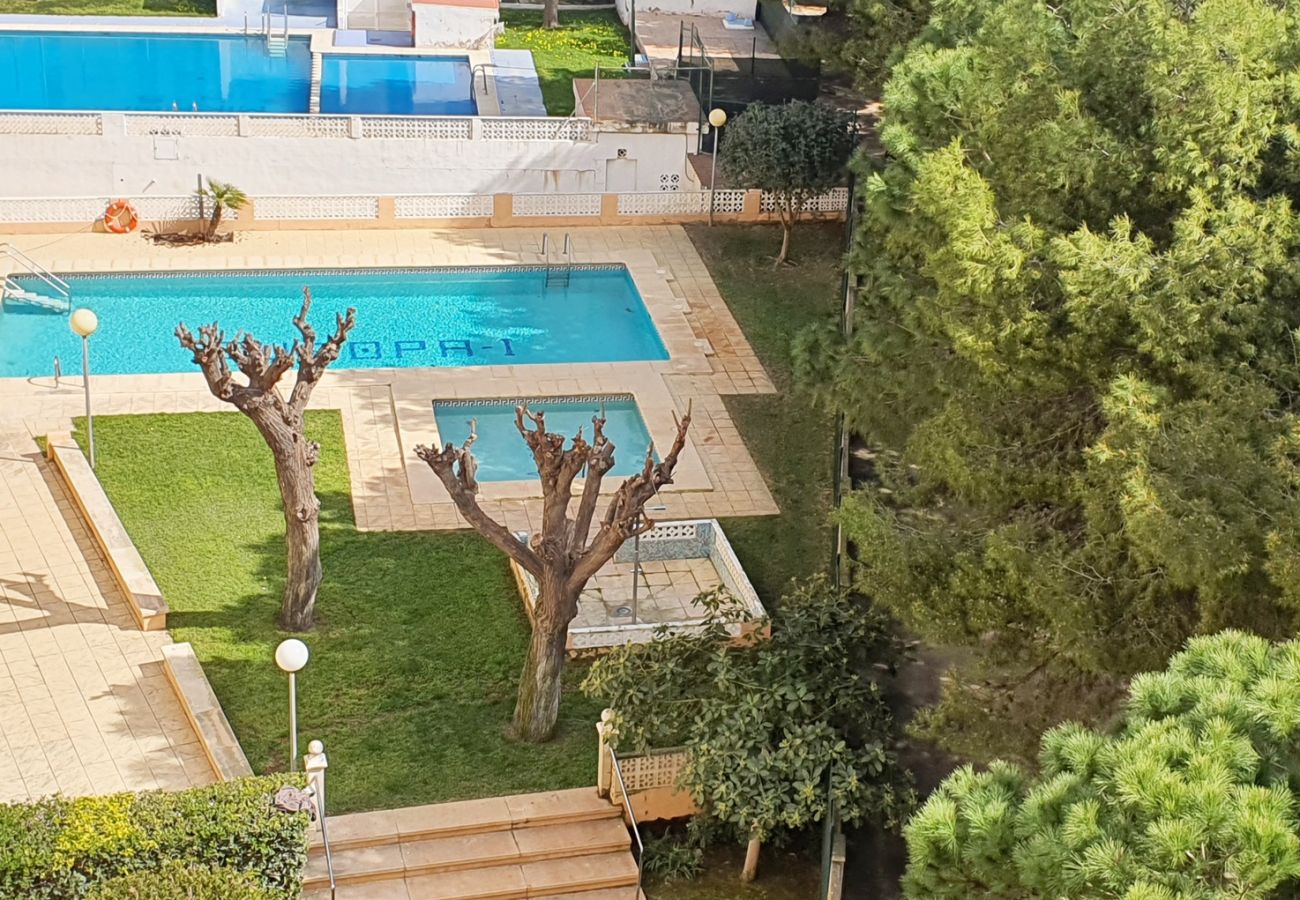 Apartamento en Miramar Playa - EUROPA I - D - 6º - DCHA   /   PLAYA DE MIRAMAR