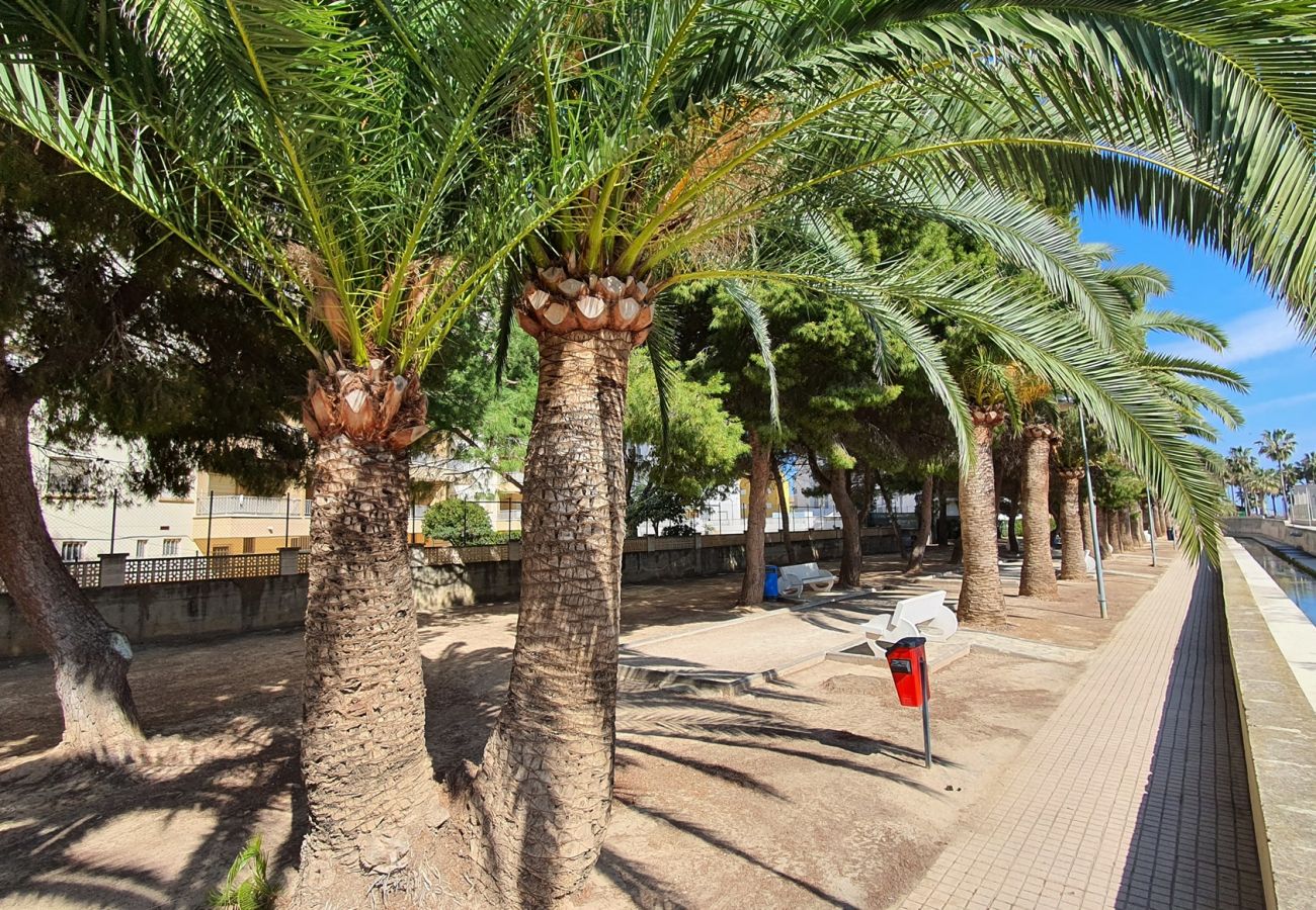 Apartamento en Miramar Playa - EUROPA I - D - 6º - DCHA   /   PLAYA DE MIRAMAR