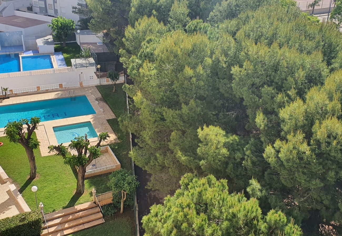 Apartamento en Miramar Playa - EUROPA D - 7º - DCHA   /  PLAYA DE MIRAMAR
