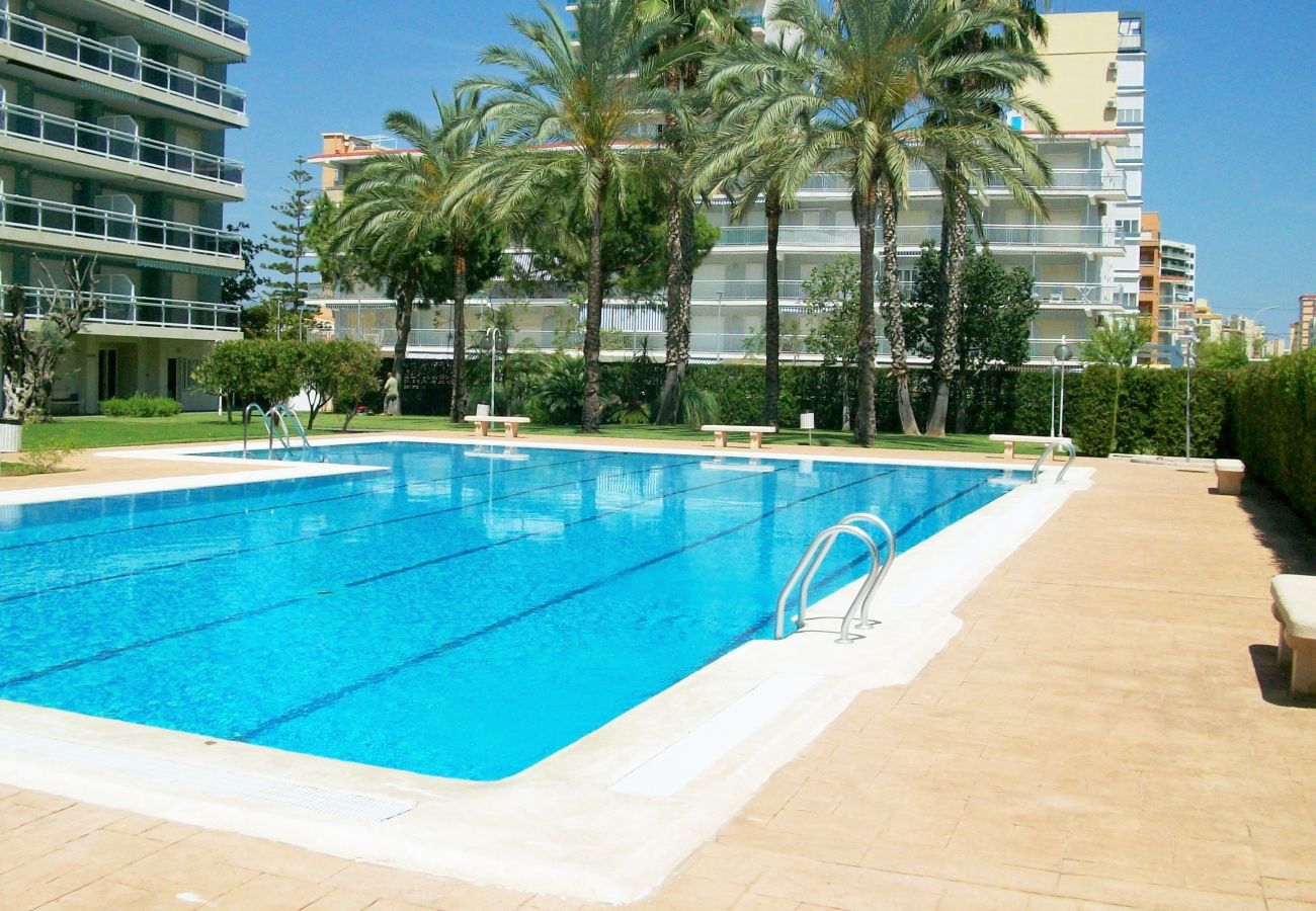 Apartamento en Gandia - LA FLORIDA 3 - 9 - 17   /  PLAYA DE GANDIA