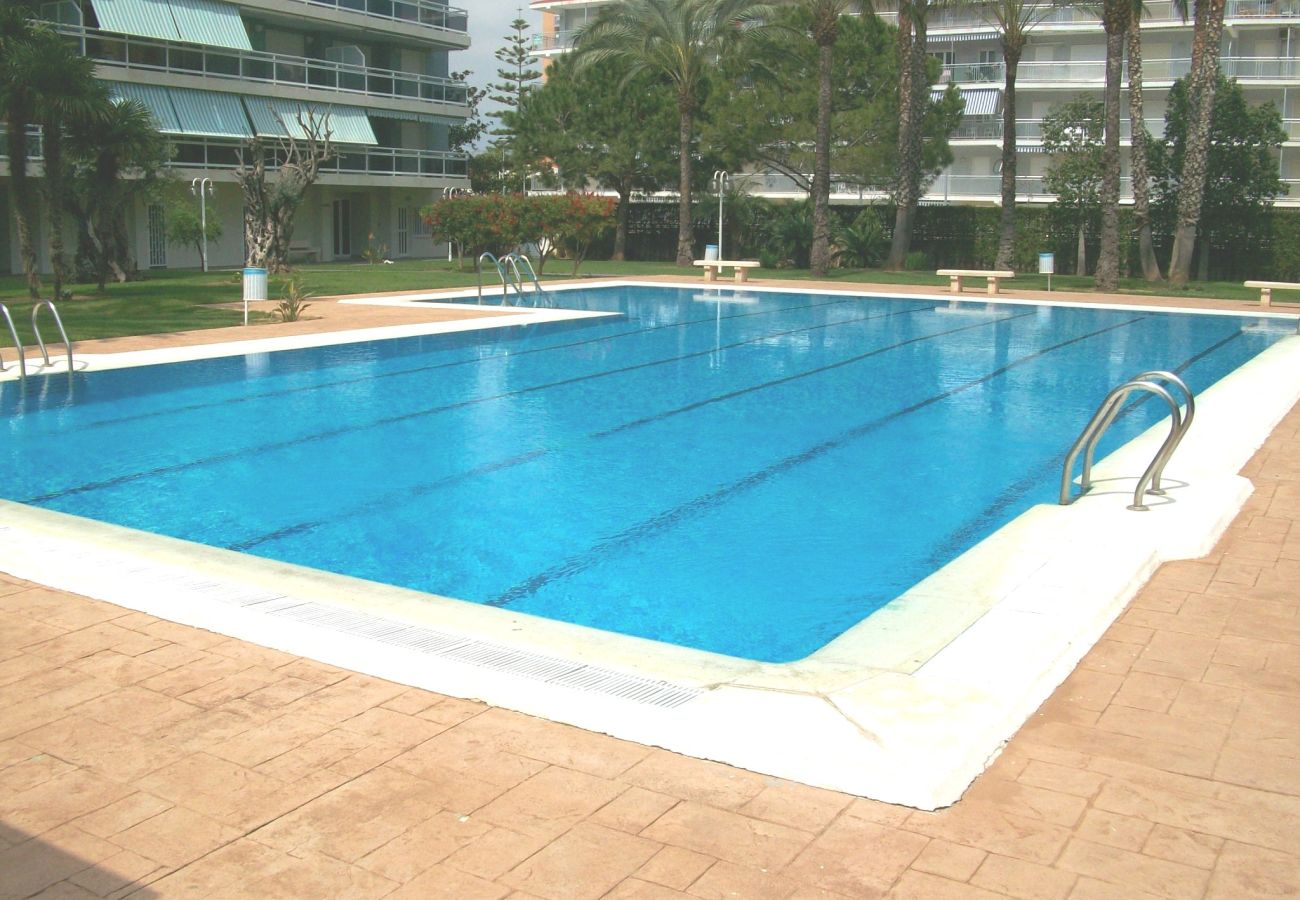 Apartamento en Gandia - LA FLORIDA 3 - 9 - 17   /  PLAYA DE GANDIA