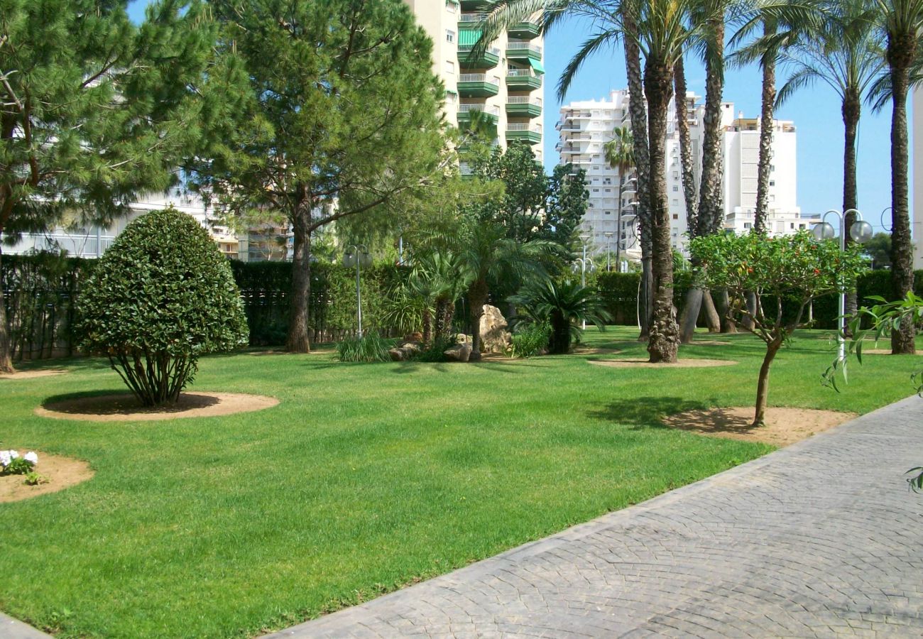 Apartamento en Gandia - LA FLORIDA 3 - 9 - 17   /  PLAYA DE GANDIA