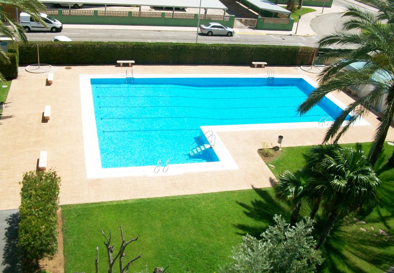 Apartamento en Gandia - LA FLORIDA 3 - 9 - 17   /  PLAYA DE GANDIA