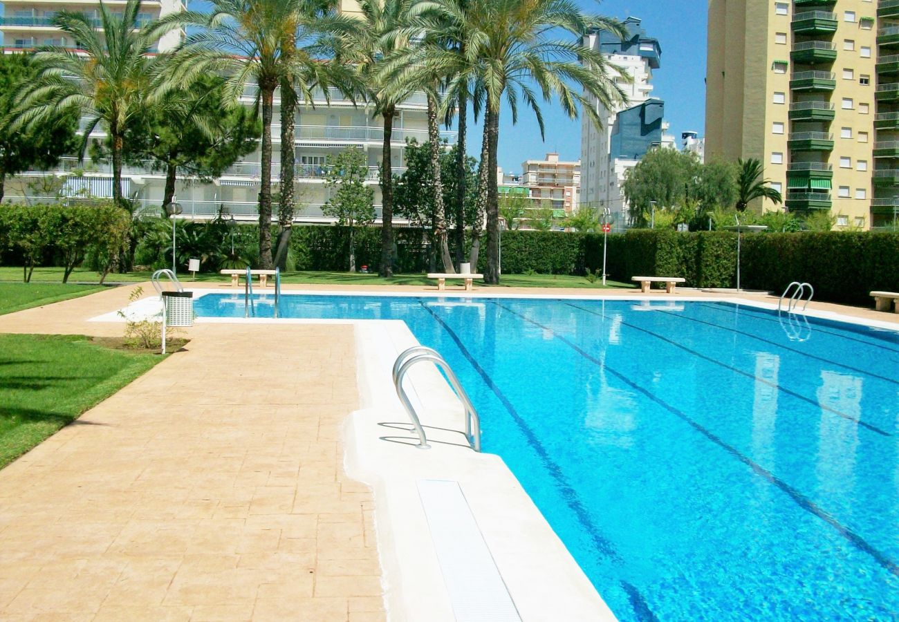 Apartamento en Gandia - LA FLORIDA 3 - 9 - 17   /  PLAYA DE GANDIA
