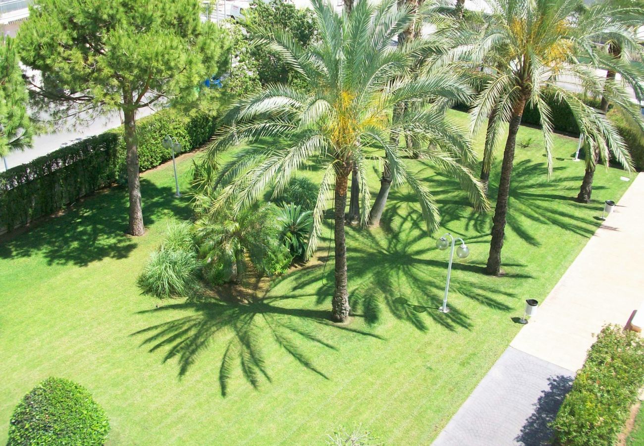 Apartamento en Gandia - LA FLORIDA 3 - 9 - 17   /  PLAYA DE GANDIA