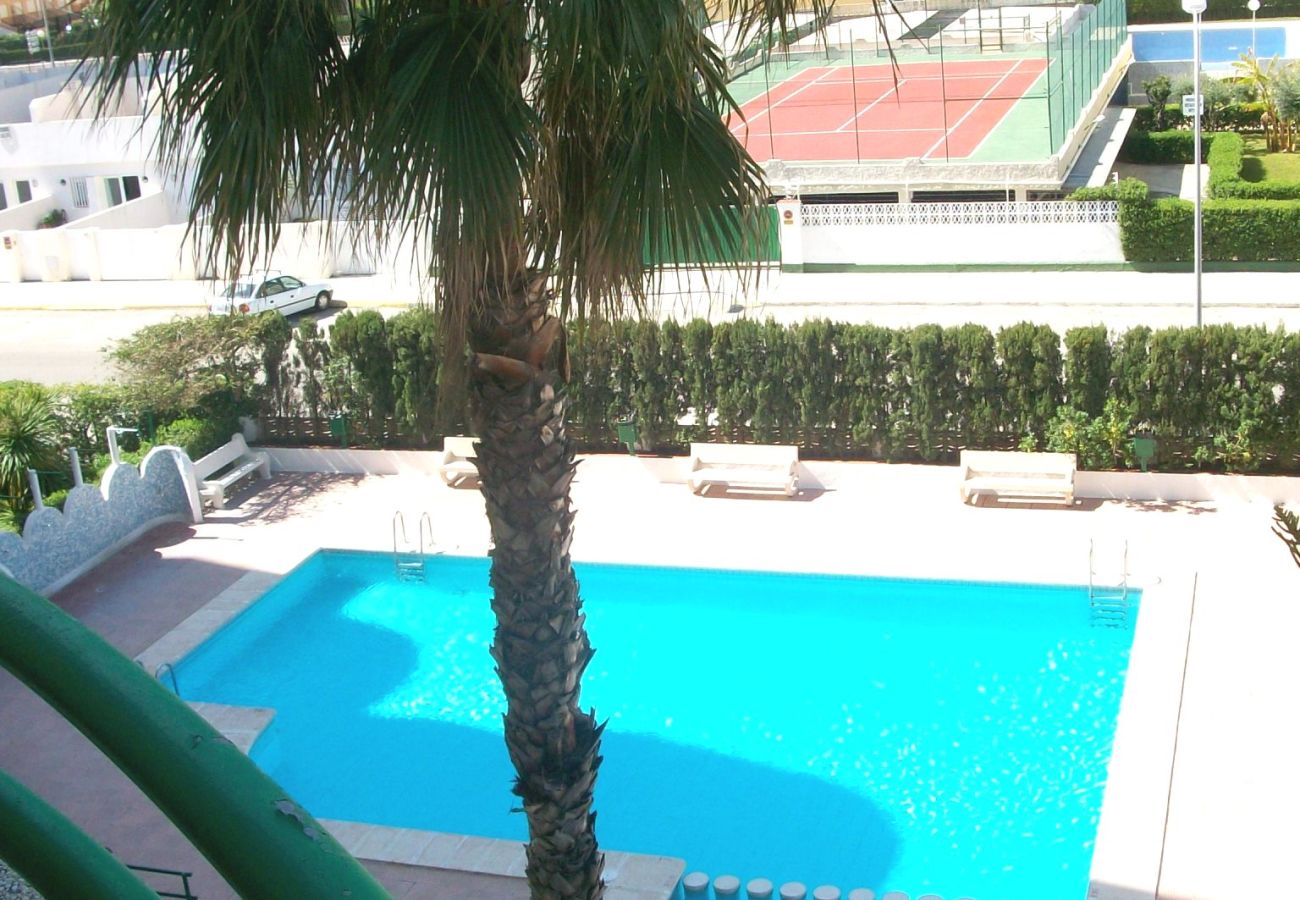 Apartamento en Gandia - CANCUN III - 1ª - 7 - G   /   PLAYA DE GANDIA