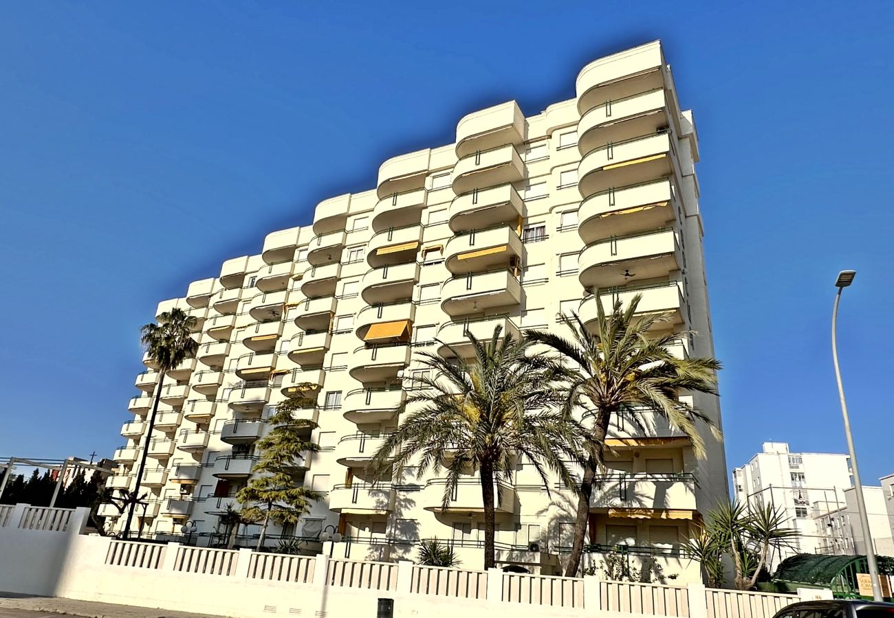 Apartamento en Gandia - CANCUN III - 1ª - 7 - G   /   PLAYA DE GANDIA