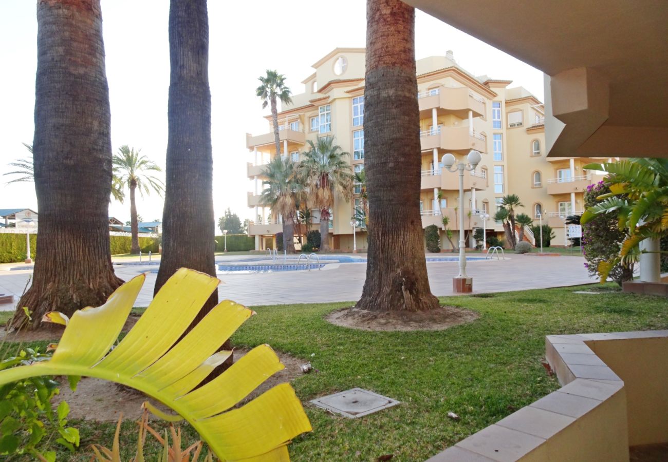 Apartamento en Oliva - GOLF Y MAR 2ª - 3º - 1  /  OLIVA NOVA