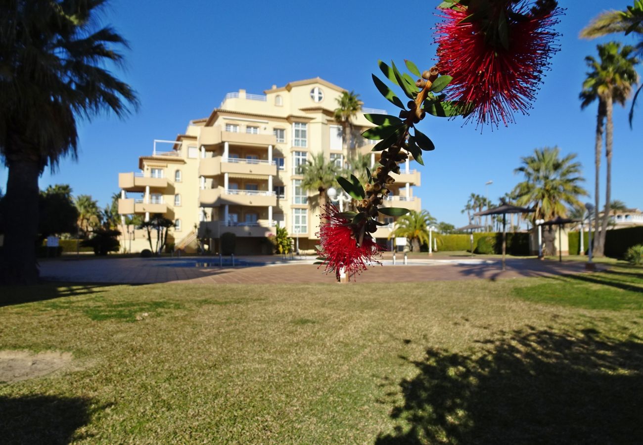 Apartamento en Oliva - GOLF Y MAR 2ª - 3º - 1  /  OLIVA NOVA