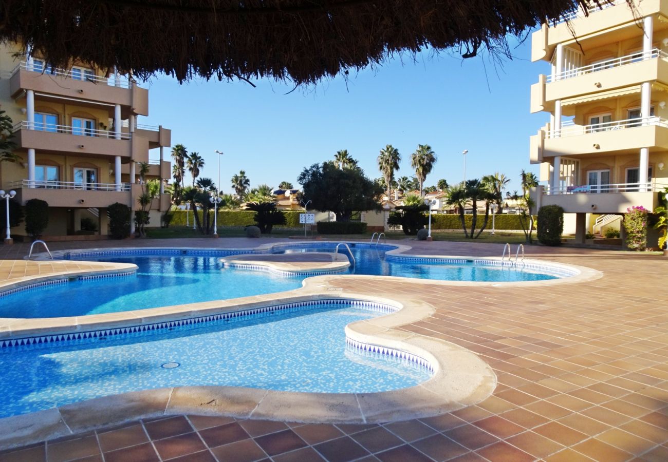 Apartamento en Oliva - GOLF Y MAR 2ª - 3º - 1  /  OLIVA NOVA