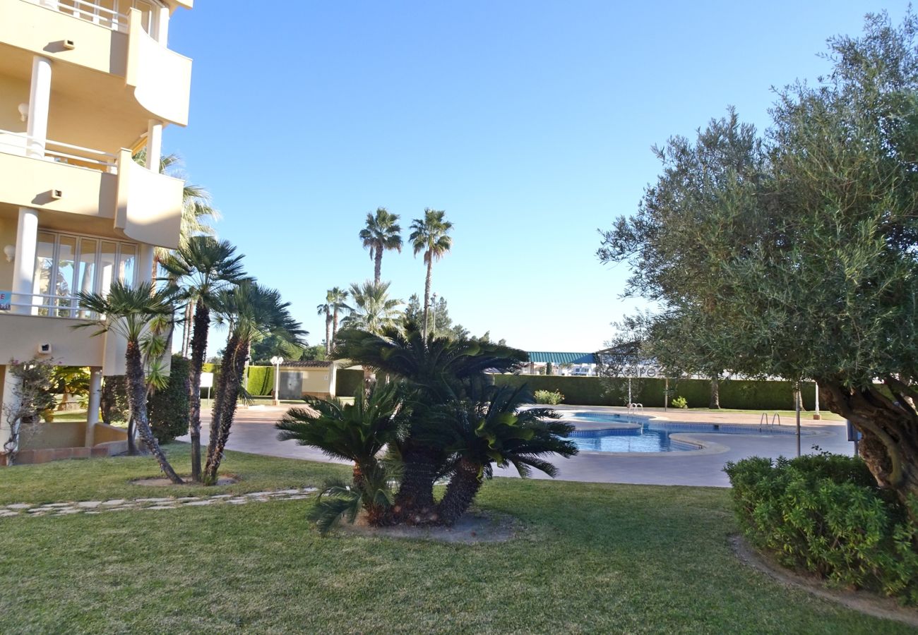 Apartamento en Oliva - GOLF Y MAR 2ª - 3º - 1  /  OLIVA NOVA