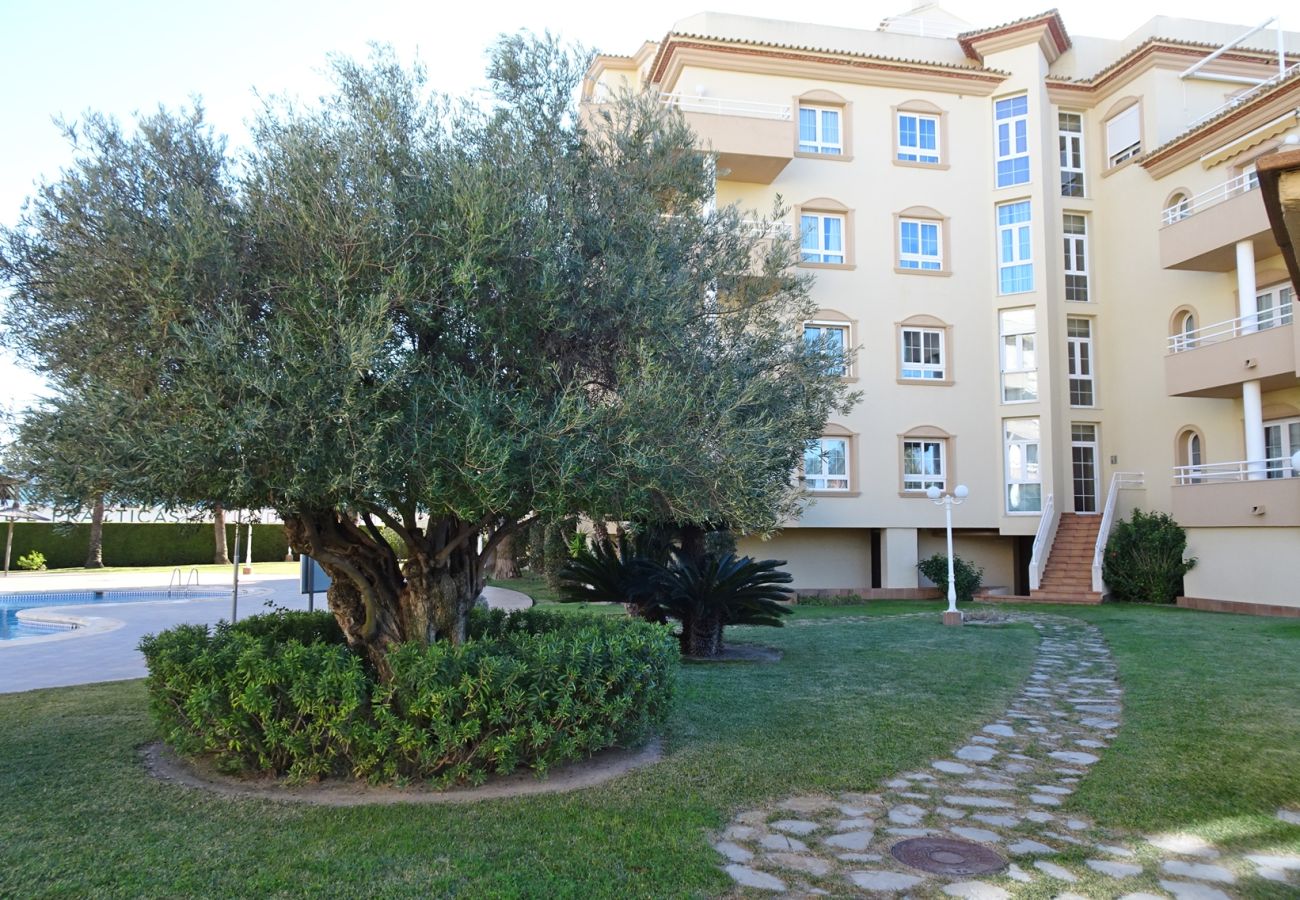 Apartamento en Oliva - GOLF Y MAR 2ª - 3º - 1  /  OLIVA NOVA