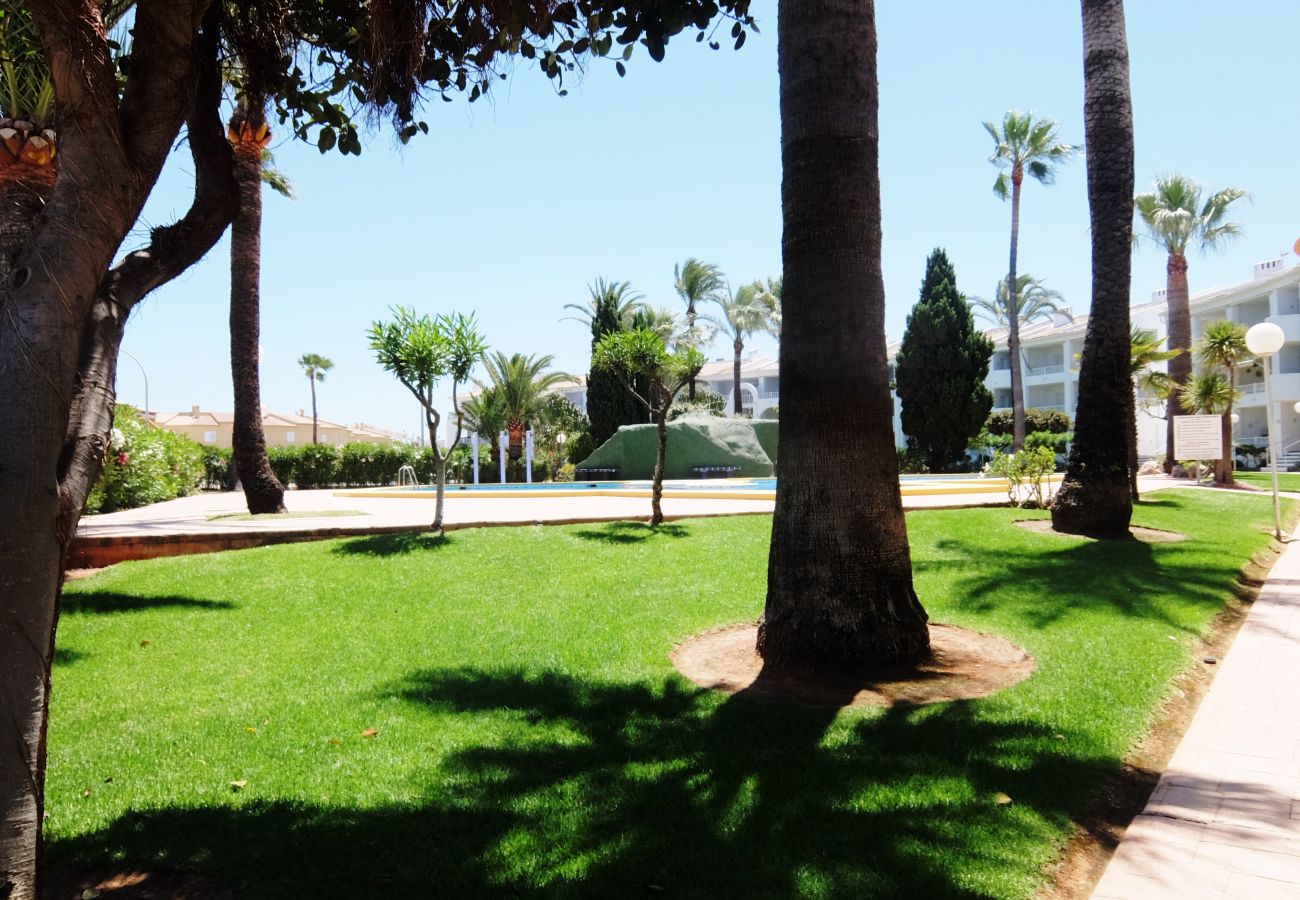 Apartamento en Oliva - MEDIA LUNA E - 1º - 10  /  OLIVA NOVA