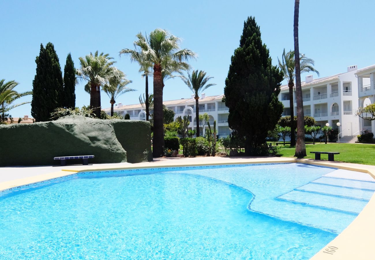 Apartamento en Oliva - MEDIA LUNA E - 1º - 10  /  OLIVA NOVA