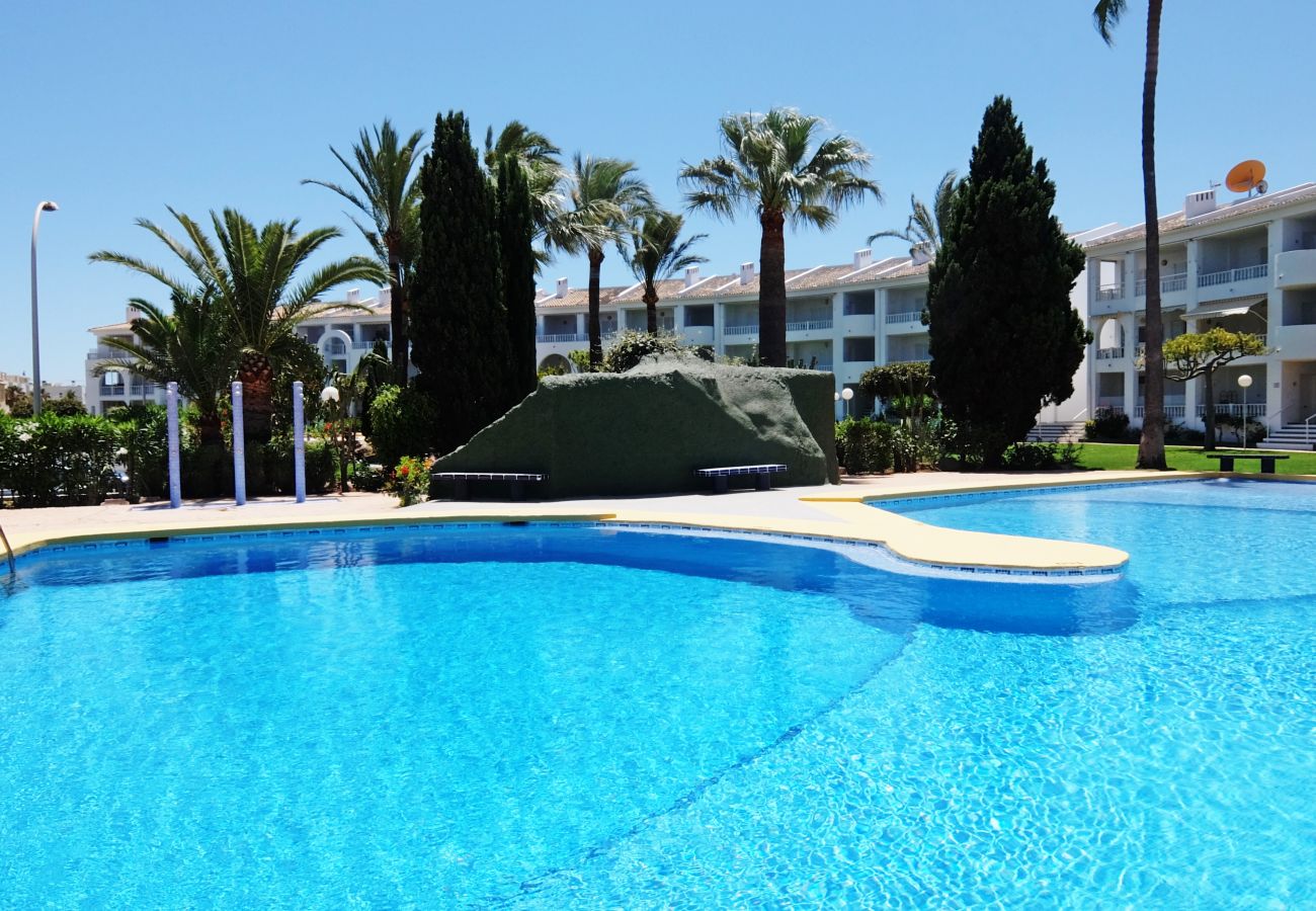 Apartamento en Oliva - MEDIA LUNA E - 1º - 10  /  OLIVA NOVA