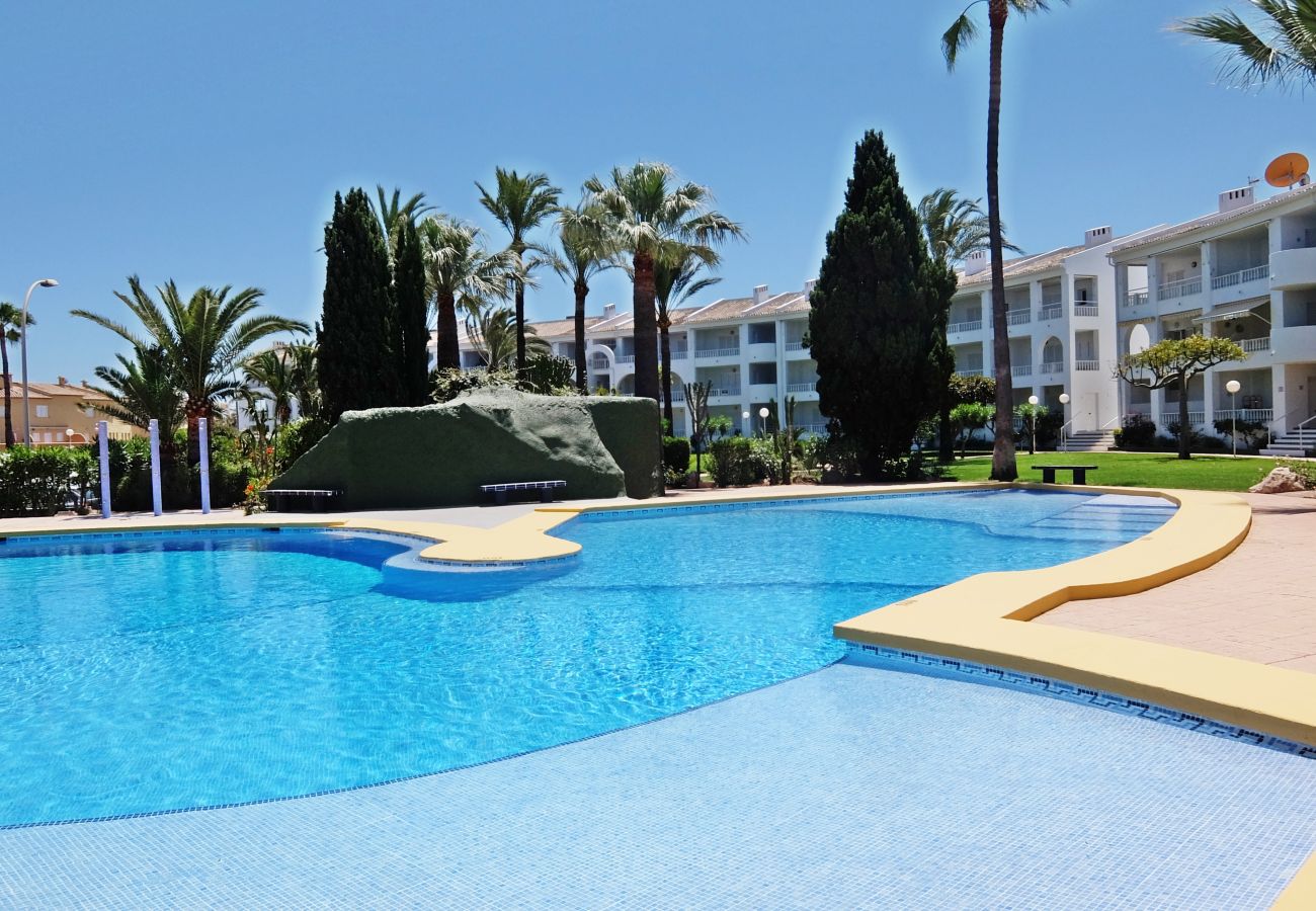 Apartamento en Oliva - MEDIA LUNA E - 1º - 10  /  OLIVA NOVA