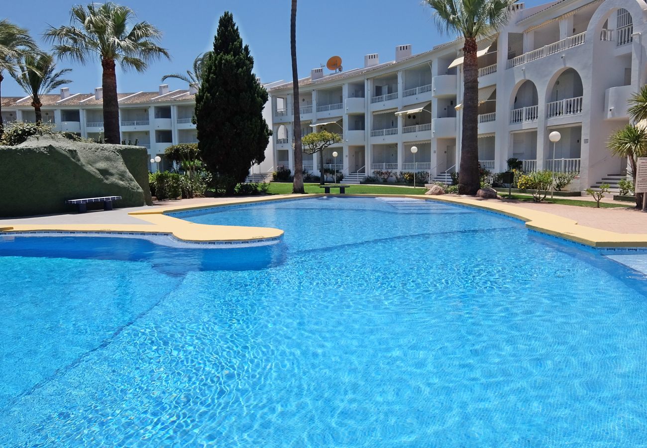 Apartamento en Oliva - MEDIA LUNA E - 1º - 10  /  OLIVA NOVA