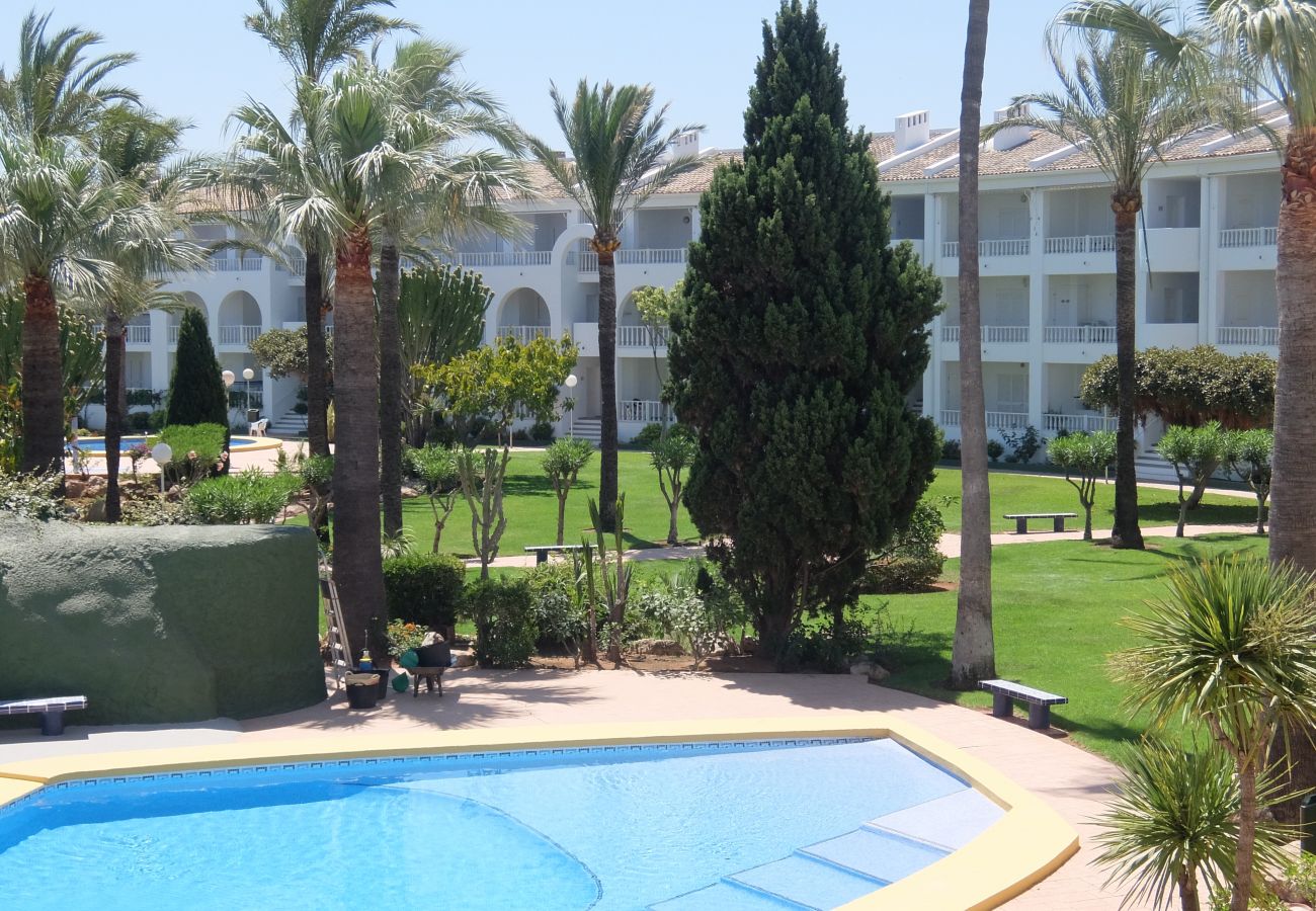 Apartamento en Oliva - MEDIA LUNA E - 1º - 10  /  OLIVA NOVA