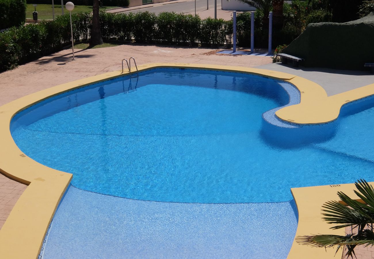 Apartamento en Oliva - MEDIA LUNA E - 1º - 10  /  OLIVA NOVA