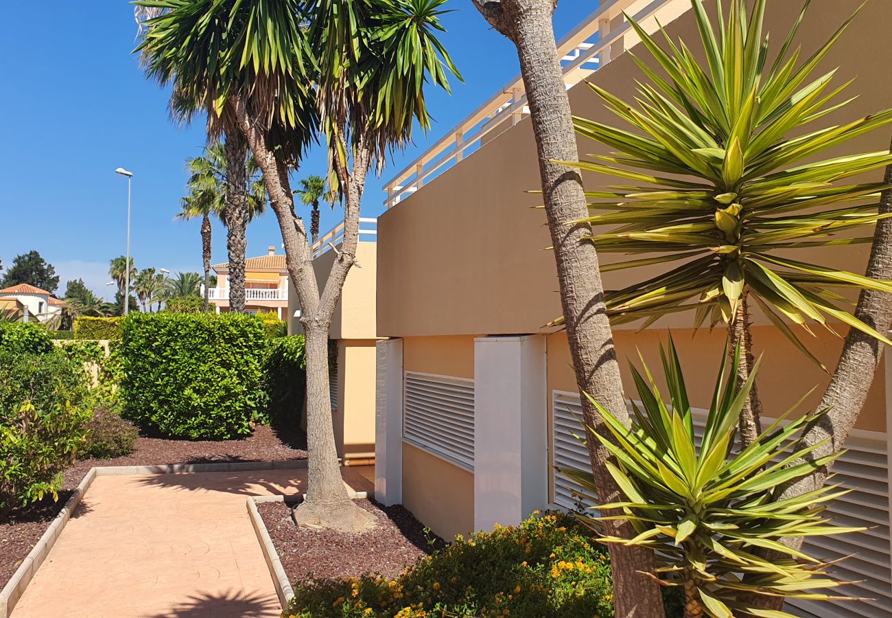 Apartamento en Oliva - PAR 3 - Nº 1    /  PLAYA DE OLIVA NOVA 