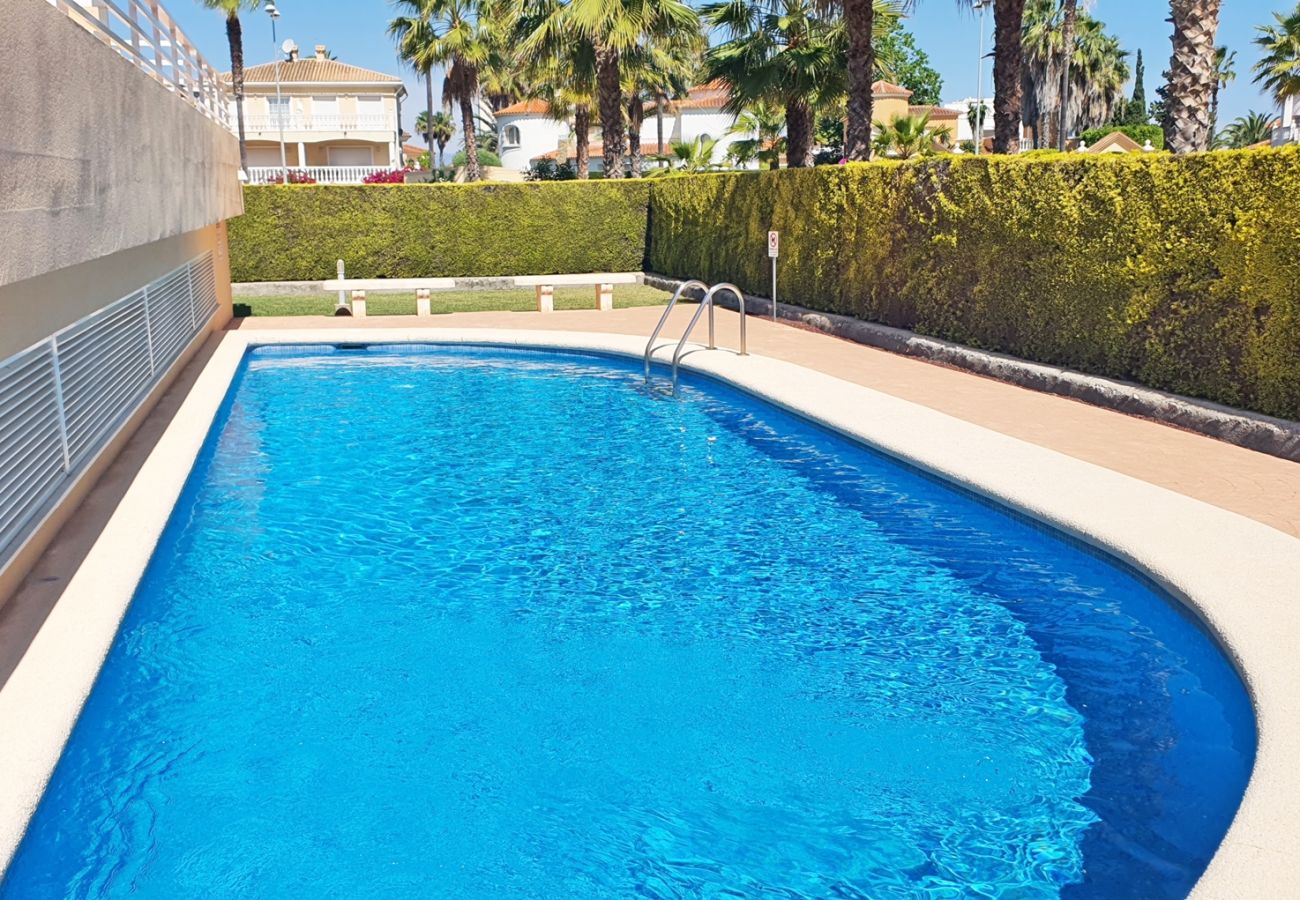 Apartamento en Oliva - PAR 3 - Nº 5   /   PLAYA DE OLIVA NOVA