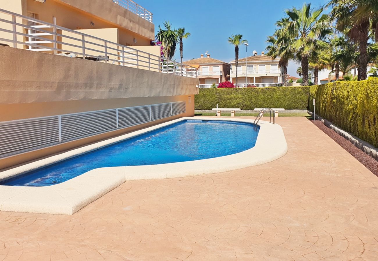 Apartamento en Oliva - PAR 3 - Nº 5   /   PLAYA DE OLIVA NOVA