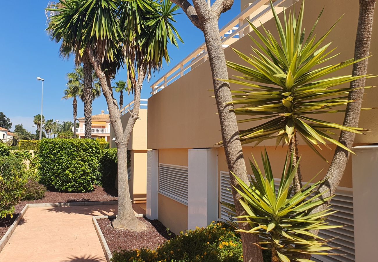 Apartamento en Oliva - PAR 3 - Nº 5   /   PLAYA DE OLIVA NOVA