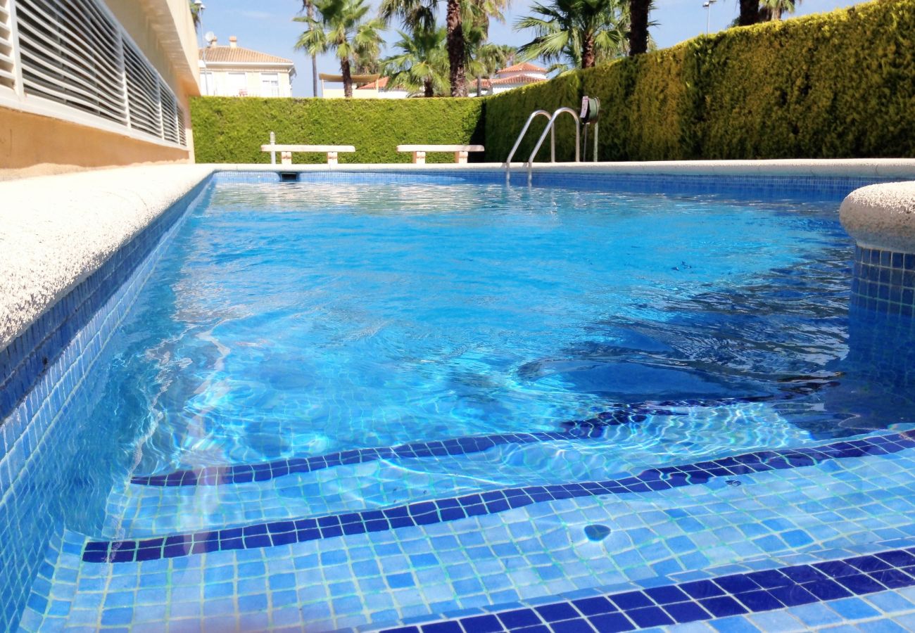 Apartamento en Oliva - PAR 3 - Nº 5   /   PLAYA DE OLIVA NOVA