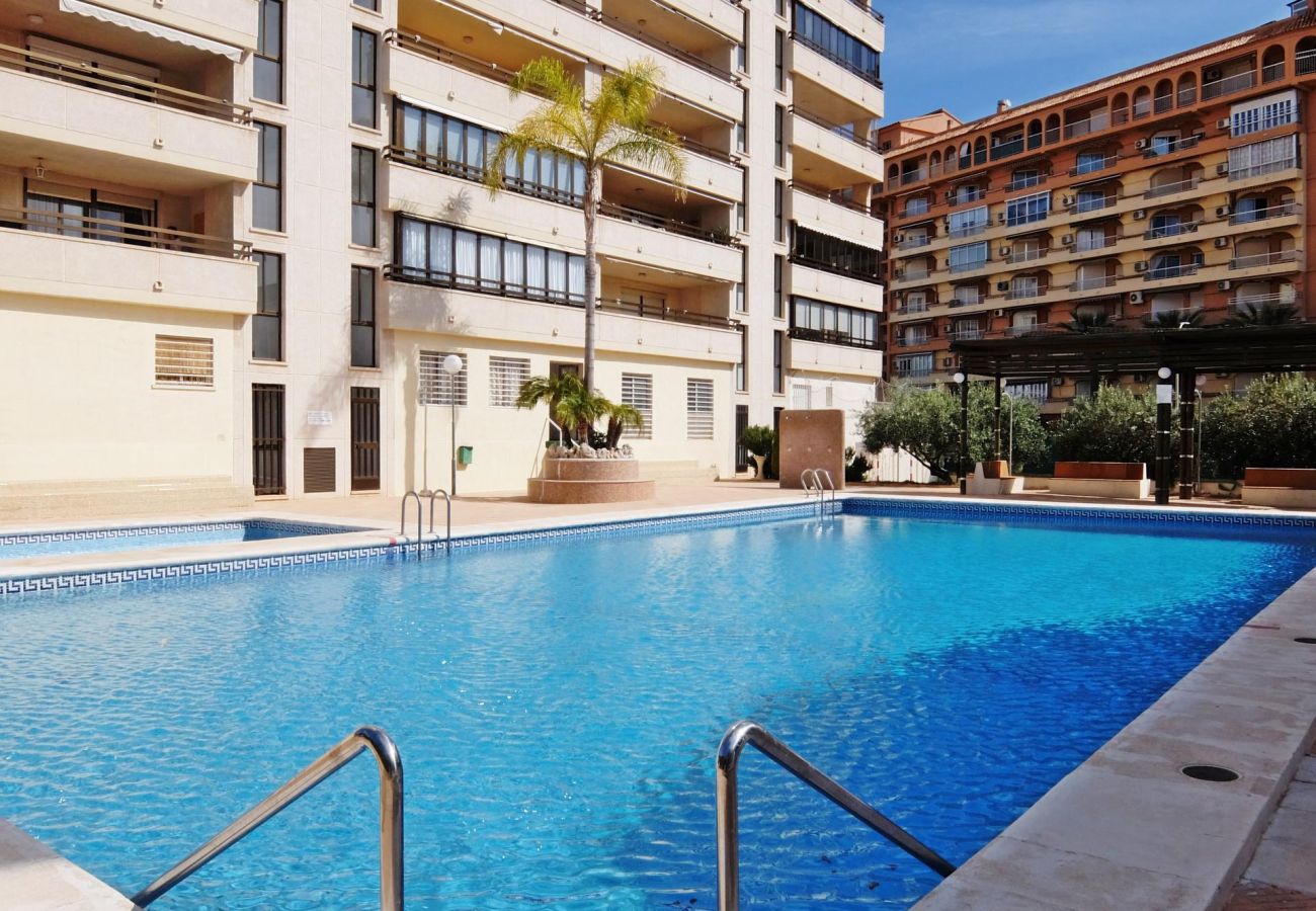 Casa adosada en Gandia - CHALET BALADRE 26    /   PLAYA DE GANDIA